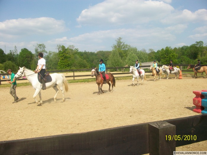 Diagonale de dressage au trot