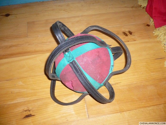 ballon horseball