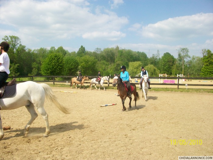 Cercle au galop 