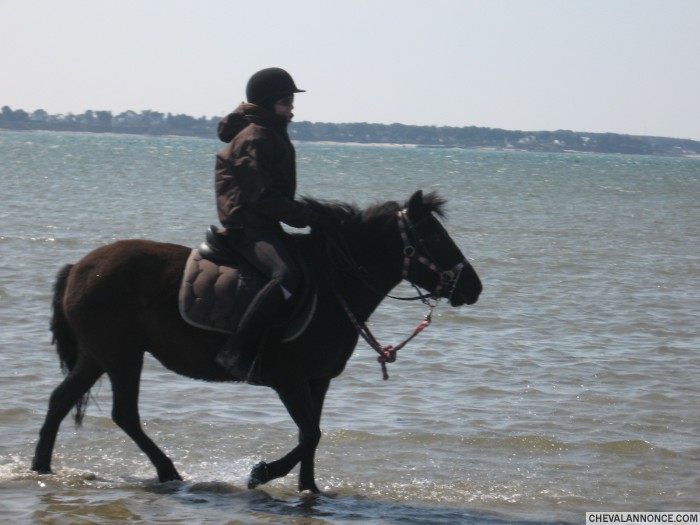 le reve de ma fille .   alle la mer avec sa ponette