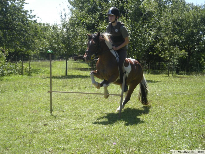 Le poney d'une super amie, mais elle est a 1 heure d'ici alors bon ...
