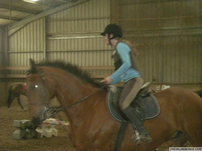 Avec Mitou en obstacle