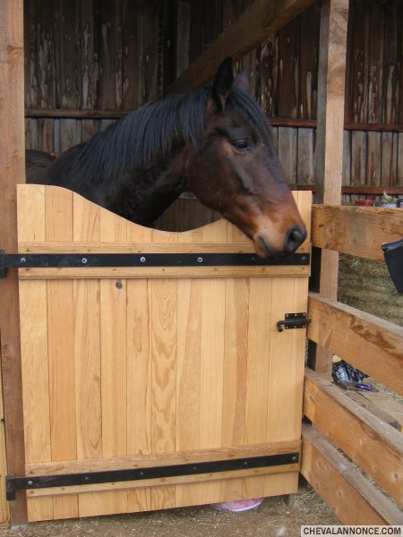 Il fait mon bohneur jours aprs jours <3