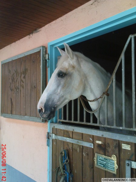 Azur, le "sp�cial" (AA  en haut �cole 21 ans svp!!!) 