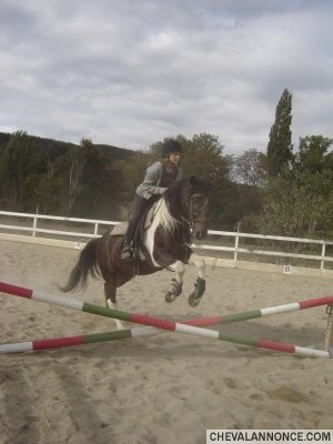 Sunday et moi! Cheval vraiment extraordinaire en dressage comme en saut !