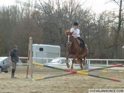 Orpheo et moi! Mon champion mconnue a moi =D Le cheval de ma vie <3