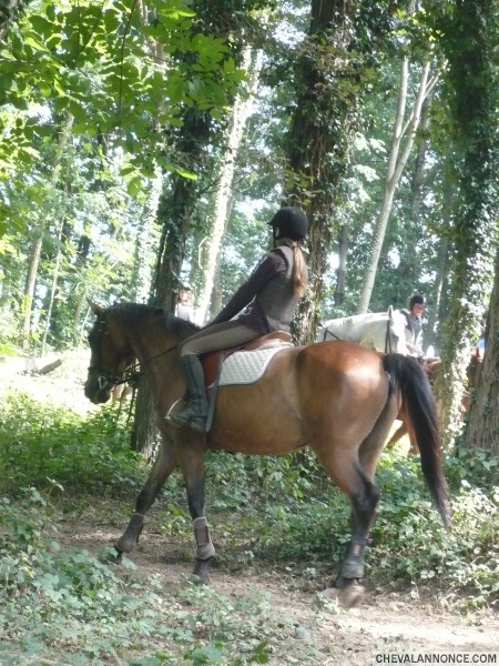 Toujours au cross au G5