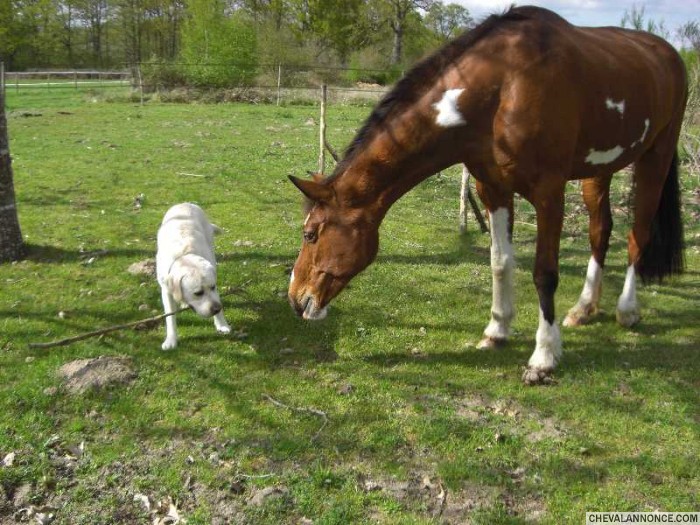 C'est qui ce ptit blanc ? Il sent quoi ?