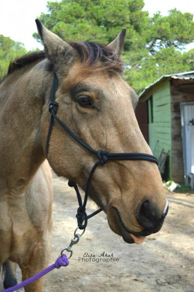 Nikon D3200 ( ma morue&#9829; )