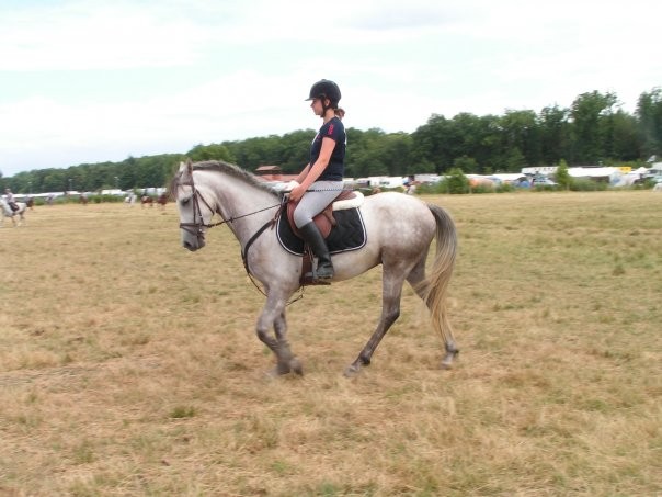 plat poney 3ans