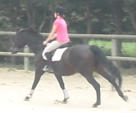 Nabuco des VENTS HN*