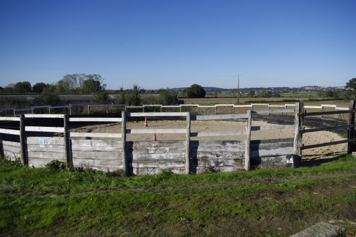 rond de longe 20 de diam