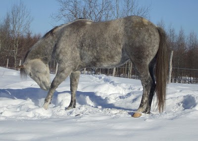 Mikelange.. Un amour :D