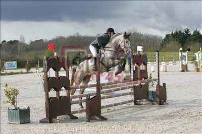 Clud 2 poney de 3 ans