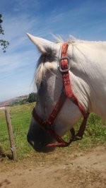 Querly !! Toi aussi je t'oublierais jamais !!