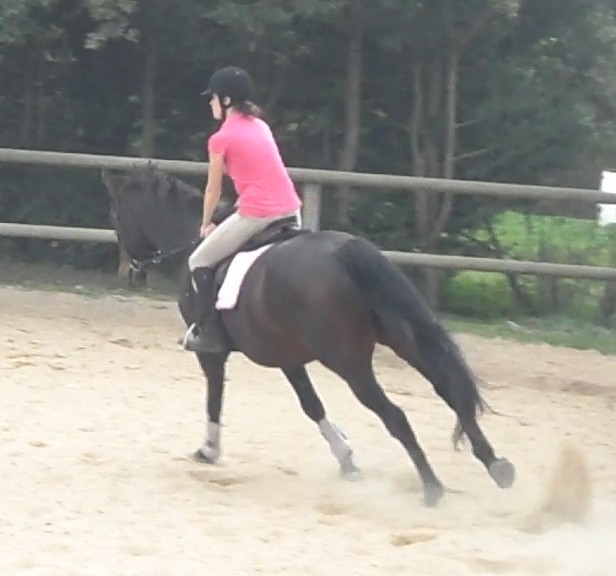 Nabuco des VENTS HN*