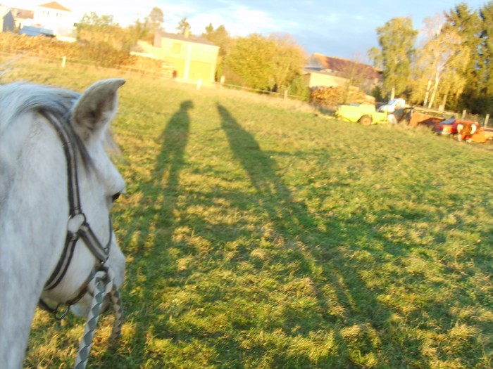 en licol sur ma chrie