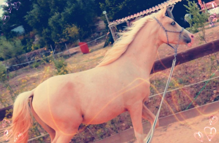LePlusBeaaaau! <3