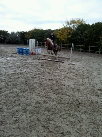 Premier saut pour Loulou 