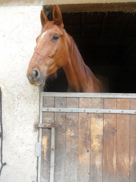 A son arriver :)