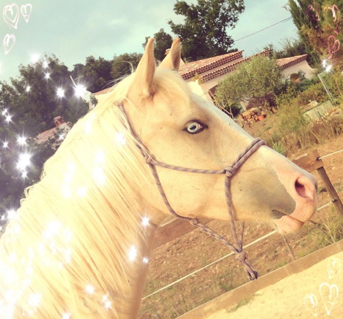 Adadjo! <3 