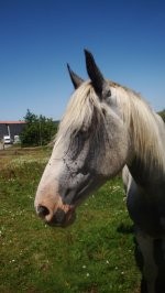 Pon-Pon ! Avec toi ont se send Grand ;) Je t'aiime !