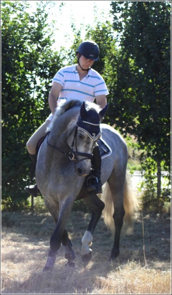 Au travail sur le plat, Aot 2012