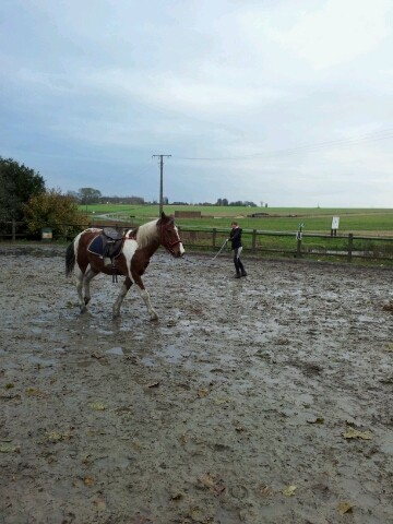 A la longe avant le travail du cheval fou ! 