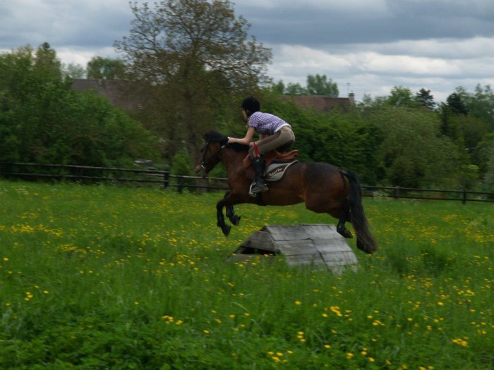Sur un trec