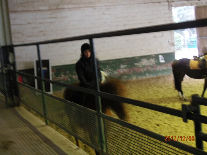 Petite sance de saut avec un cheval immense :  JOVIAL DE BAUSSY. Seule photo ;(
