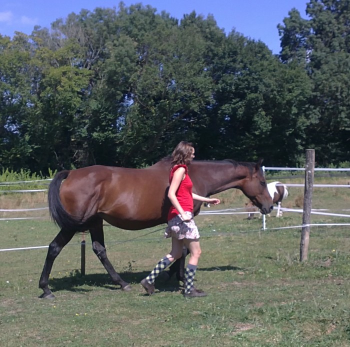 Vague travail en libert�