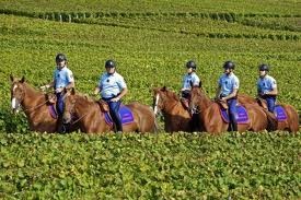 Comment alli�e passion et travail !! Le metier 