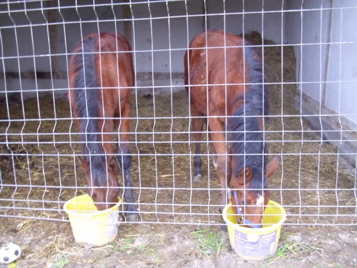 2 bbs
