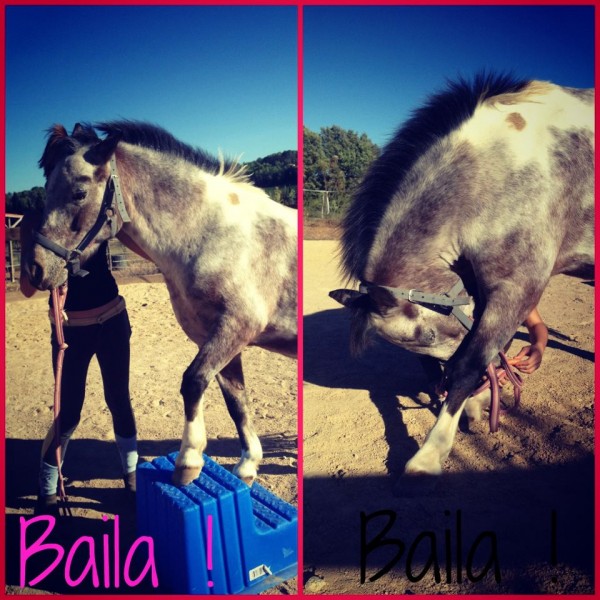 MaVie'Elle vend du rve! <3