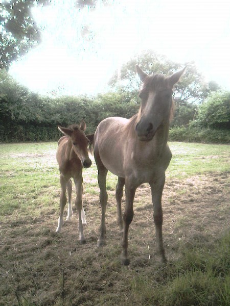 Avec Toundra,sa maman adoptive...