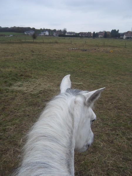 ma chrie &#9829;