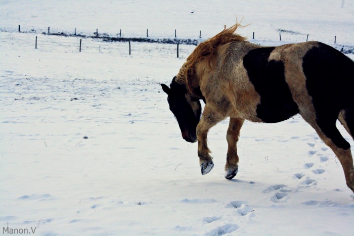 J'aimmmme la neige ! 