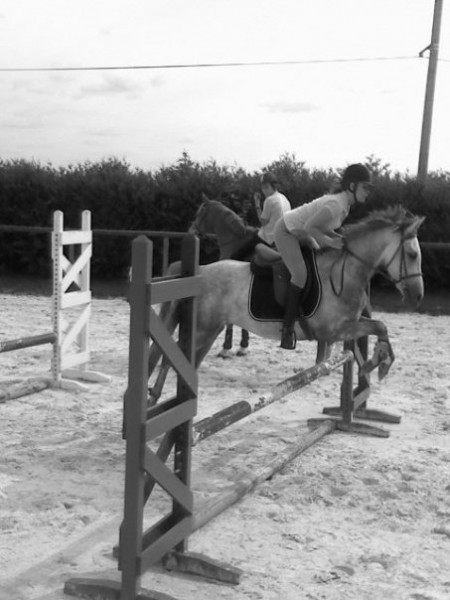 Cinq Sauts de puces avec poney de 3ans