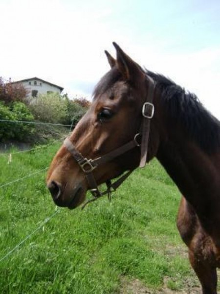 Oceane ! Tes coups de cul mon toujours fait rire !! Tu est mon AMOUR !!!!!