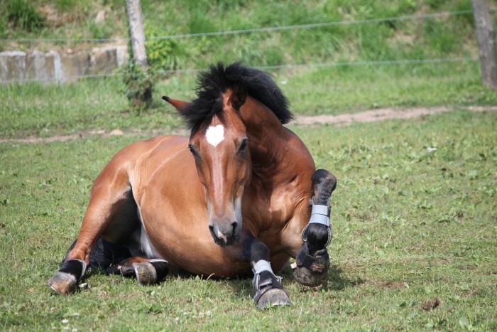 Beau gosse!<3