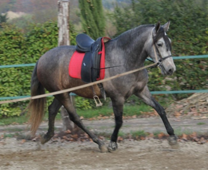 Mia.. Juste g�nial et HYPER confort :D