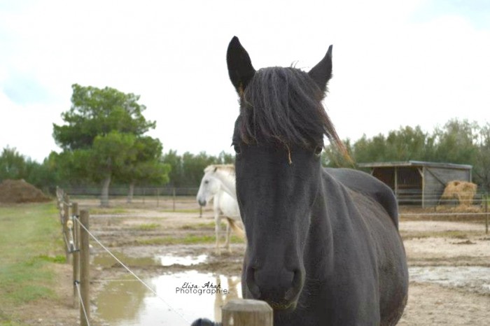 Nikon D3200