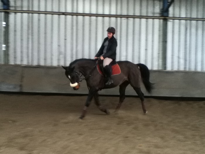 nous voici maintenant en dressage