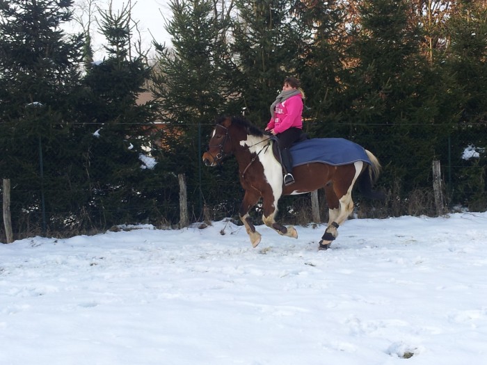 au galop