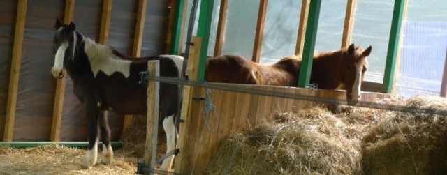 C'etait sa copine de prs.