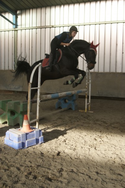 notre technique de saut s'ameliora et le dressage aussi 