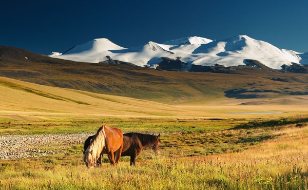 mongolie