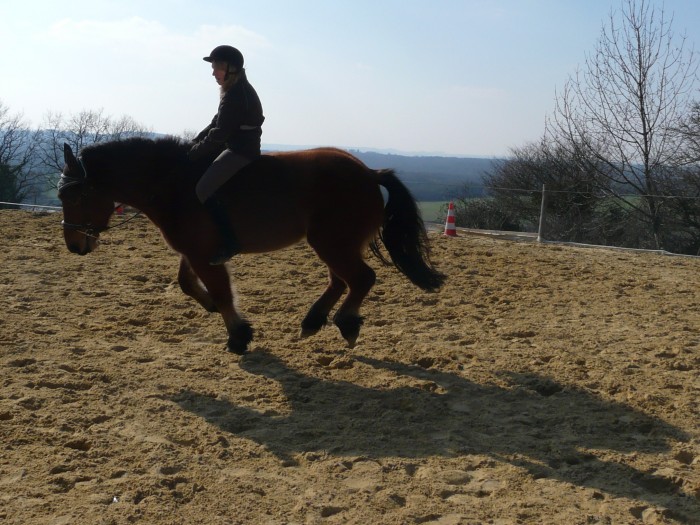 Galop  cru 