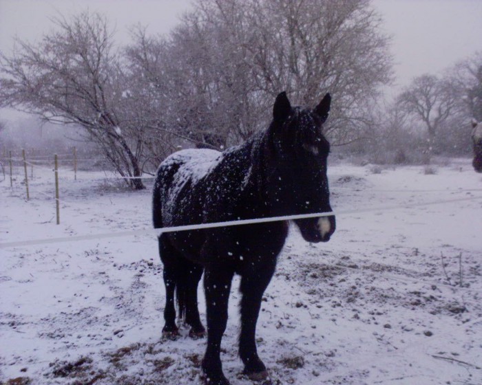 Ma chrie sous la neige. 