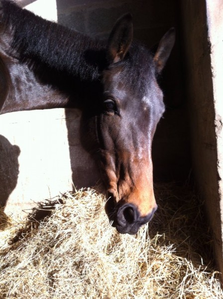 La meilleure des trotteuse